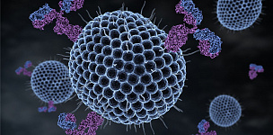 Герпесвирусные инфекции (Хромосомная интеграция вируса герпеса человека 6)