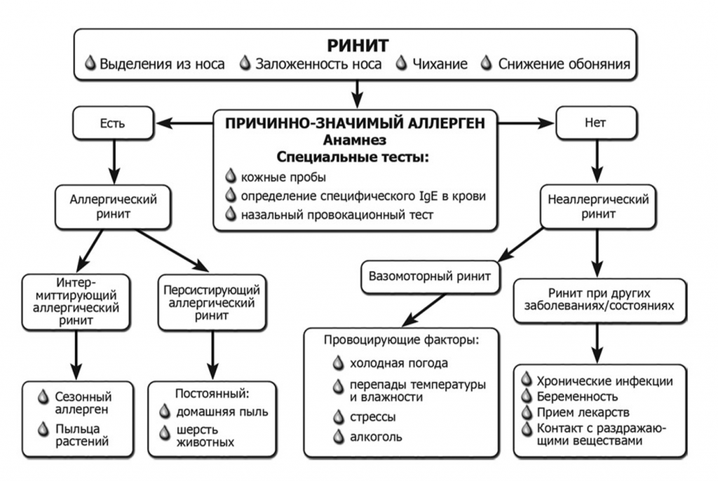 Схема лечения аллергии