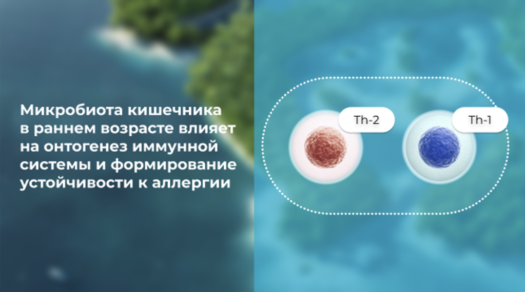 Снимок экрана 2021-08-09 в 14.31.58.png