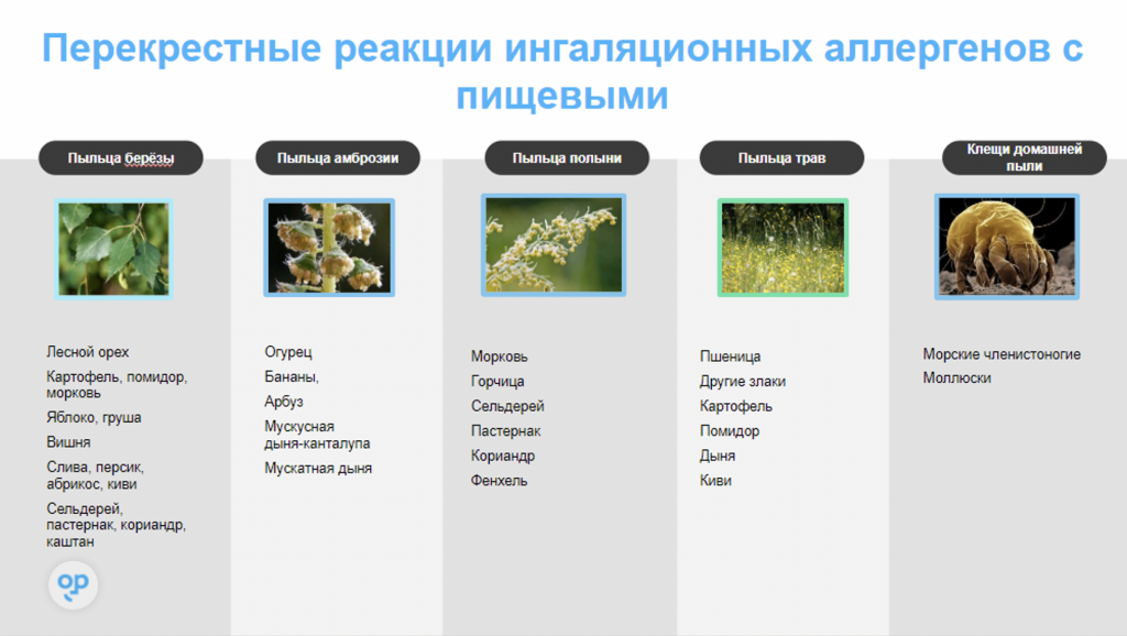 Снимок экрана 2021-04-29 в 11.07.33.png