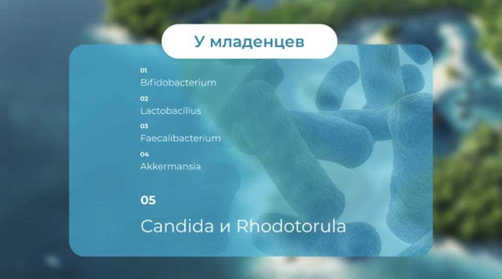 Снимок экрана 2021-08-09 в 14.31.49.png