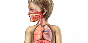 Рациональная антибиотикотерапия внебольничных бактериальных инфекций дыхательных путей у детей